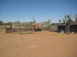 Australien Cowboy