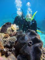 Great Barrier Reef