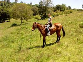 Farmarbeit Australien