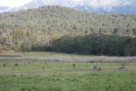Der Nordosten Tasmaniens