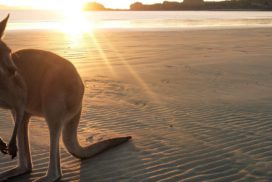 Englischkurse für Senioren in Australien