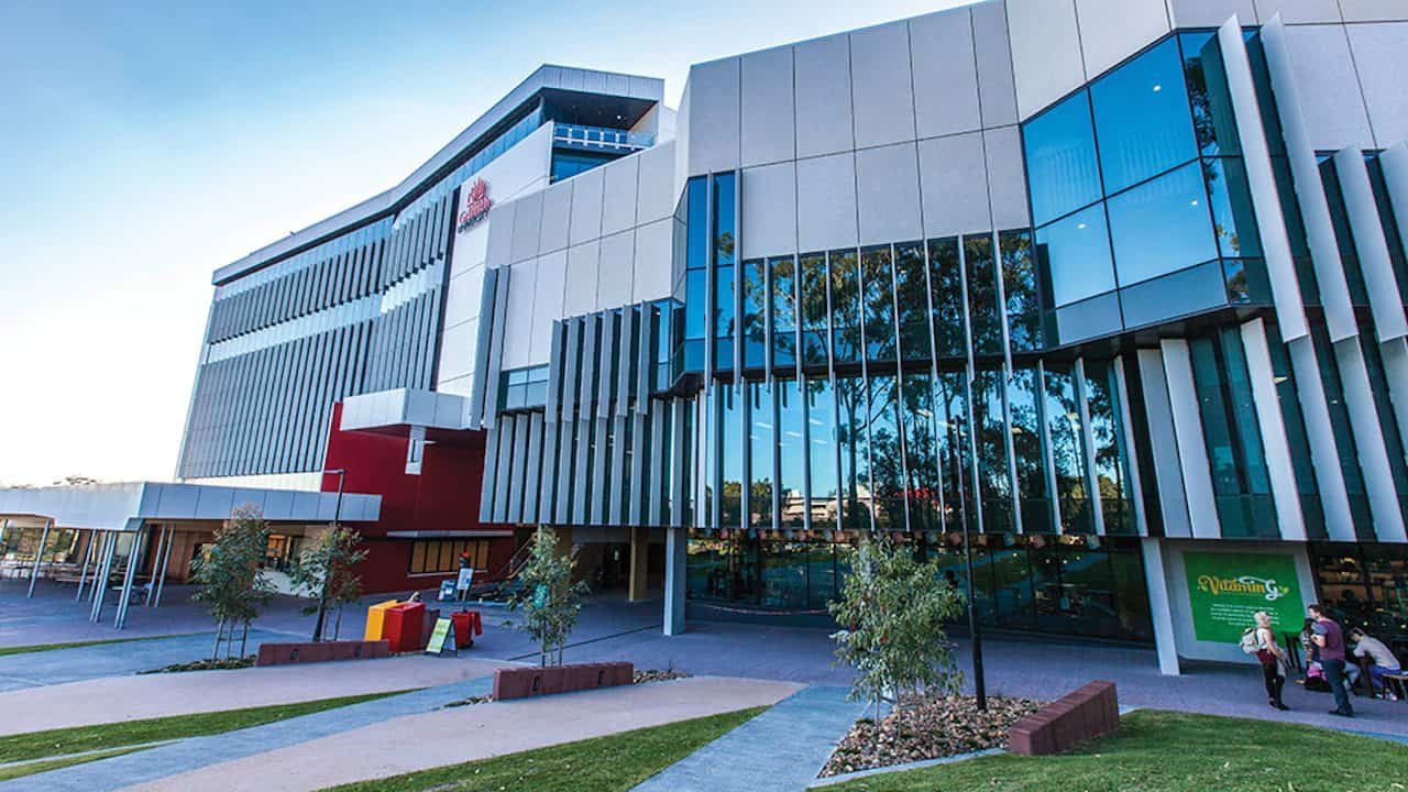 Griffith University LL.M. 