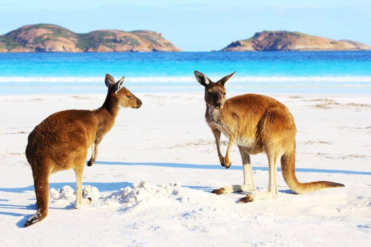Komm nach Australien mit Go To Australia