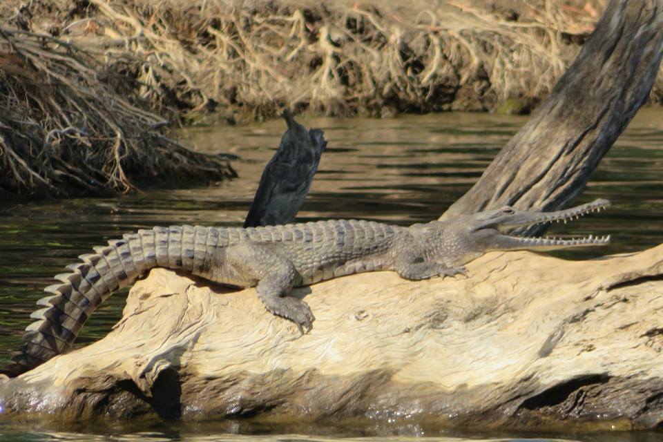 Der Kakadu Nationalpark