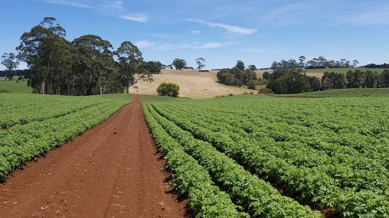 Farmarbeit Australien