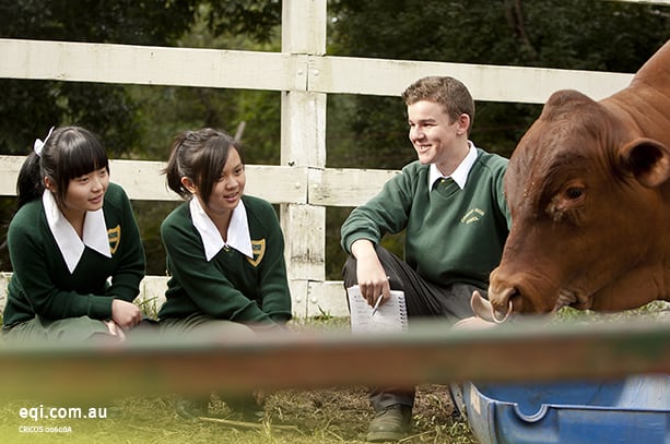 Corinda State High School