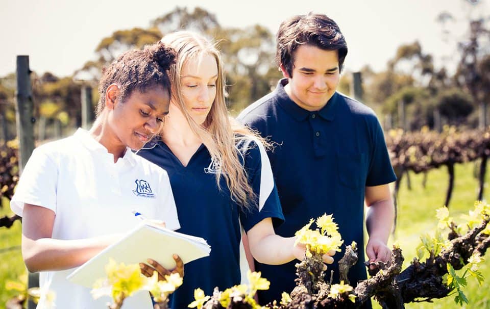 High School in Adelaide