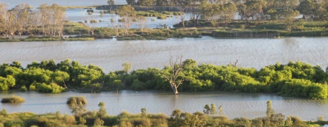 Murray River, Südaustralien